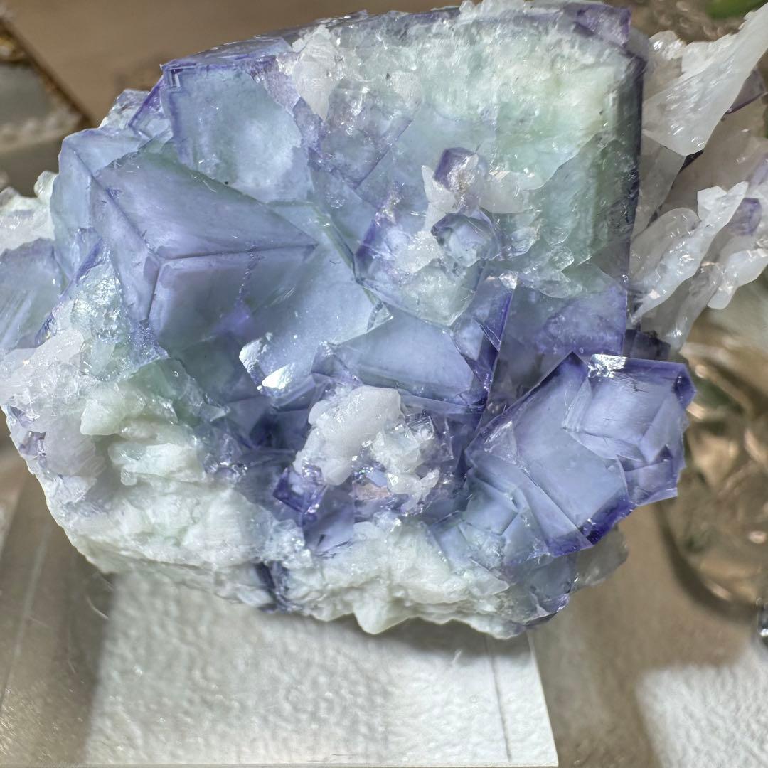 B278】ポーセリンフローライト Eタイプ ヤオガンシャン 鉱物標本