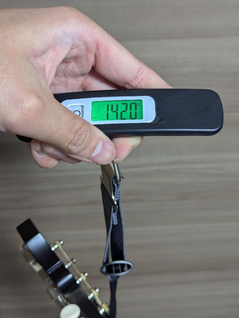 Recording King RPS-9-TS 自身ワンオーナー品 トップ単板 - メルカリ