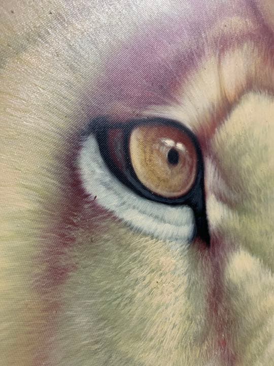 ライオン　動物　アニマル　油画　油絵