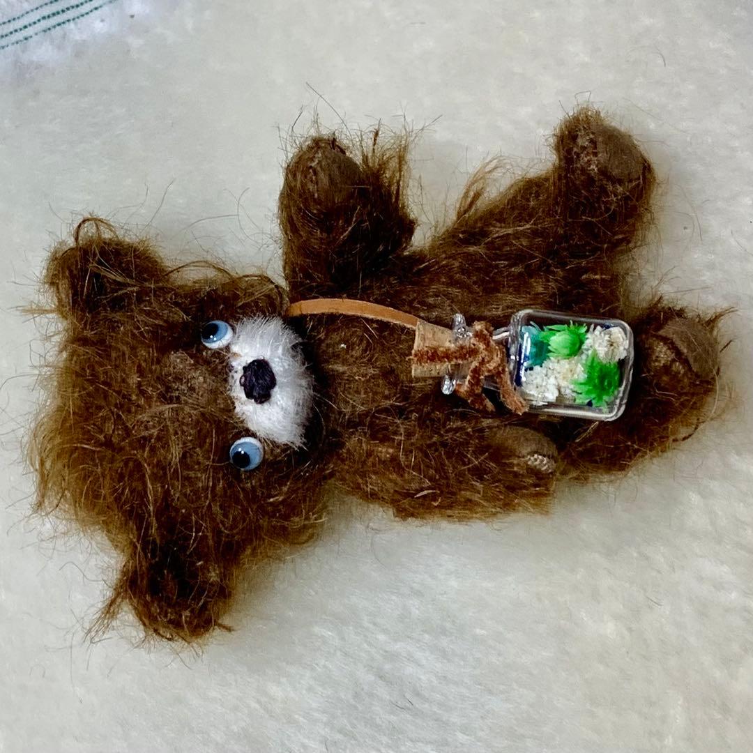 テディベア 個性的な子 ブラウンカラー ポンチ目 可愛い