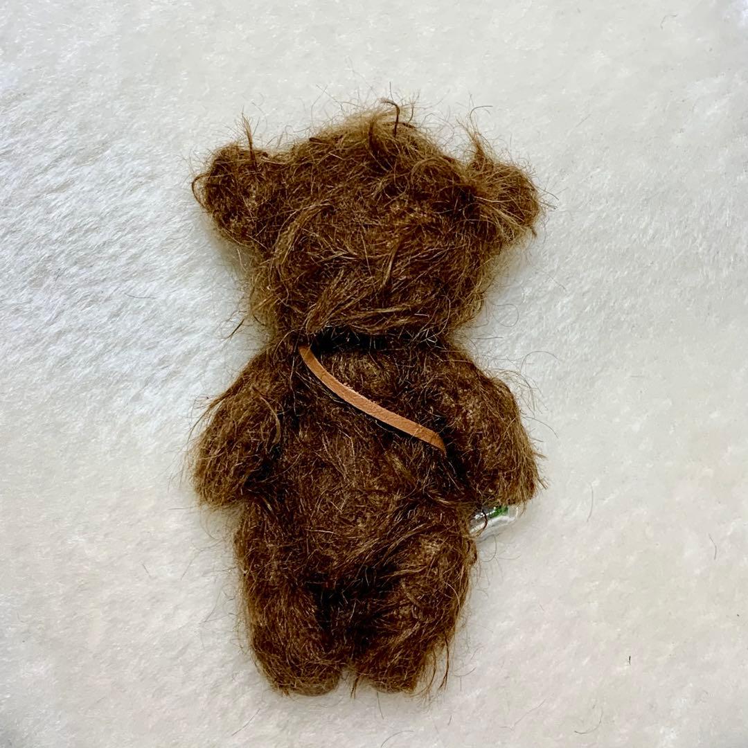 テディベア 個性的な子 ブラウンカラー ポンチ目 可愛い