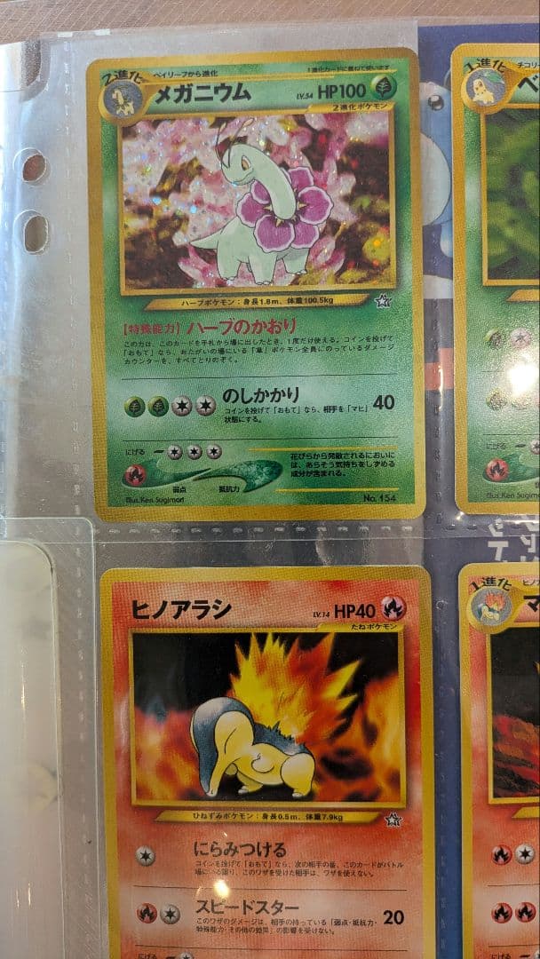 ポケモンカードneo コレクションファイル