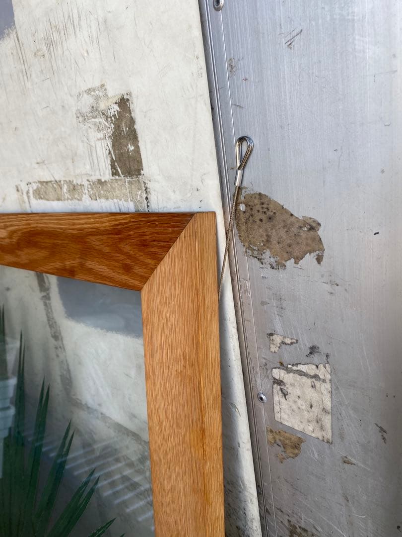 希少＊限定品】jardin pamplemousse 植物アート 木製フレーム