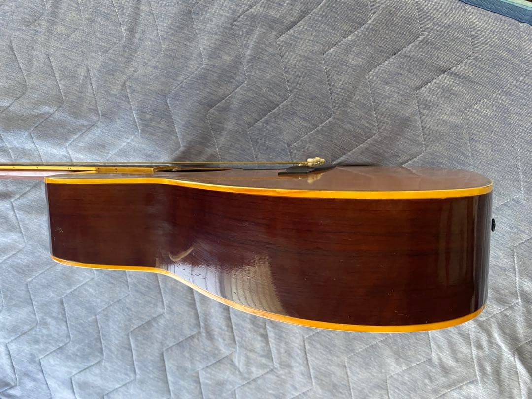 JAGARD VF600(VP60) バイオリンシェイブギター