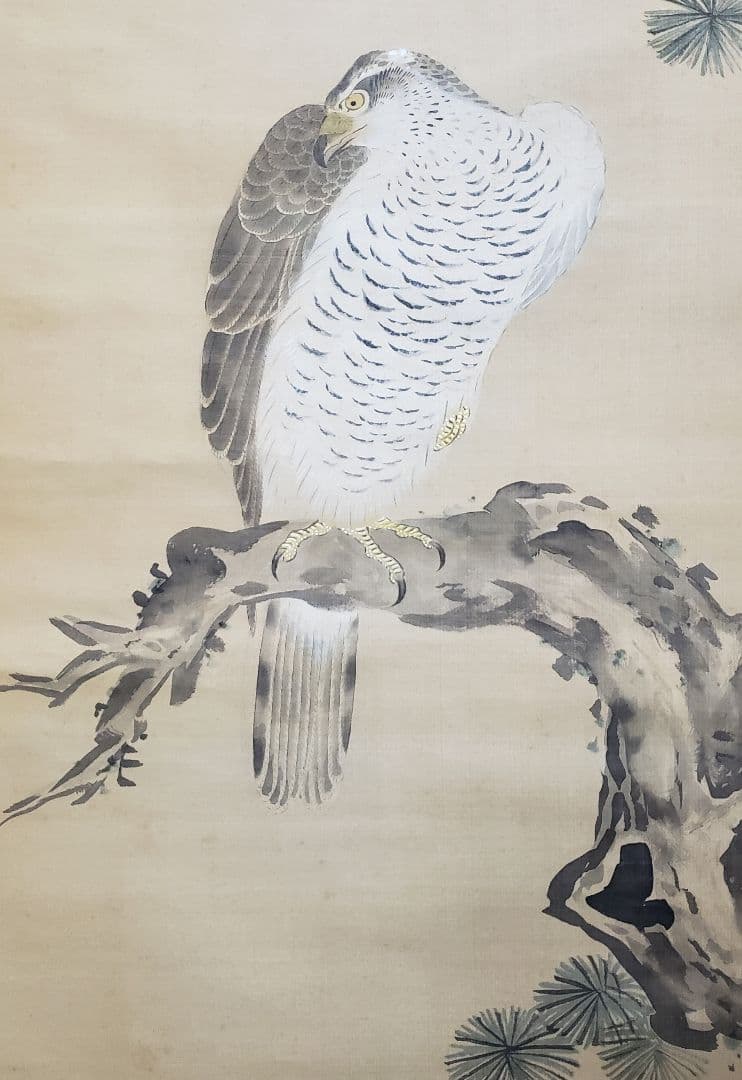 【松に鷹図】狩野栄川院典信 2580 狩野派古画　掛け軸　肉筆