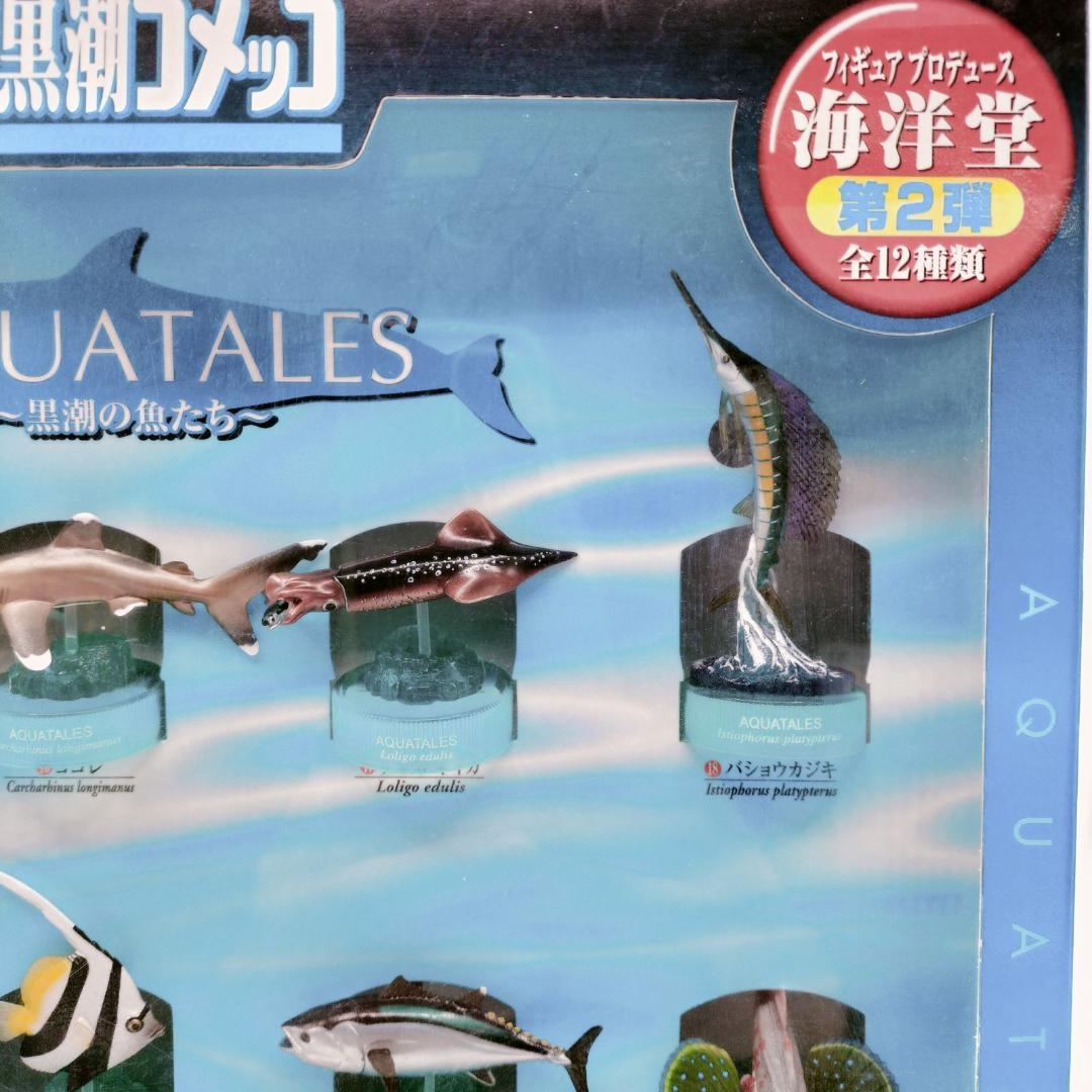 【非売品】黒潮コメッコ 第2弾 販促用 BOX アクアテイルズ フィギュア