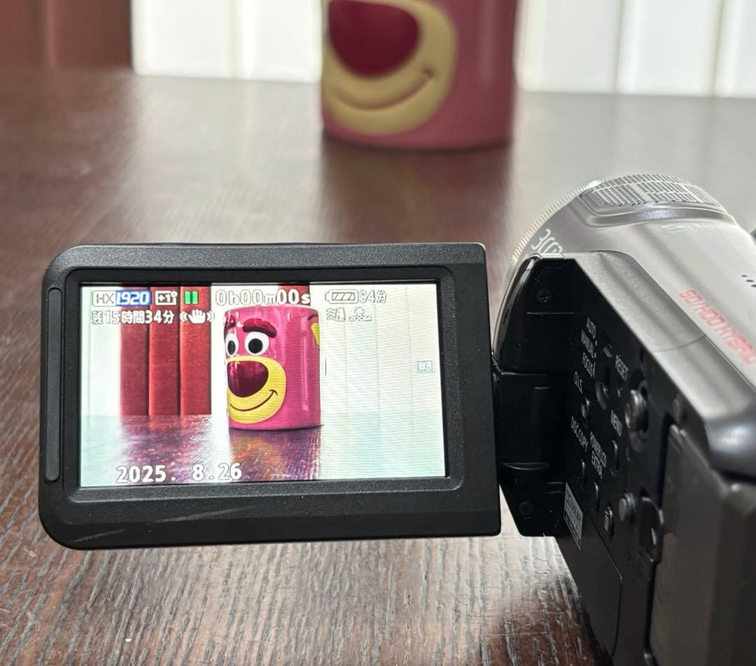 美品　Panasonic デジタルフルハイビジョンビデオカメラ HDC-HS9