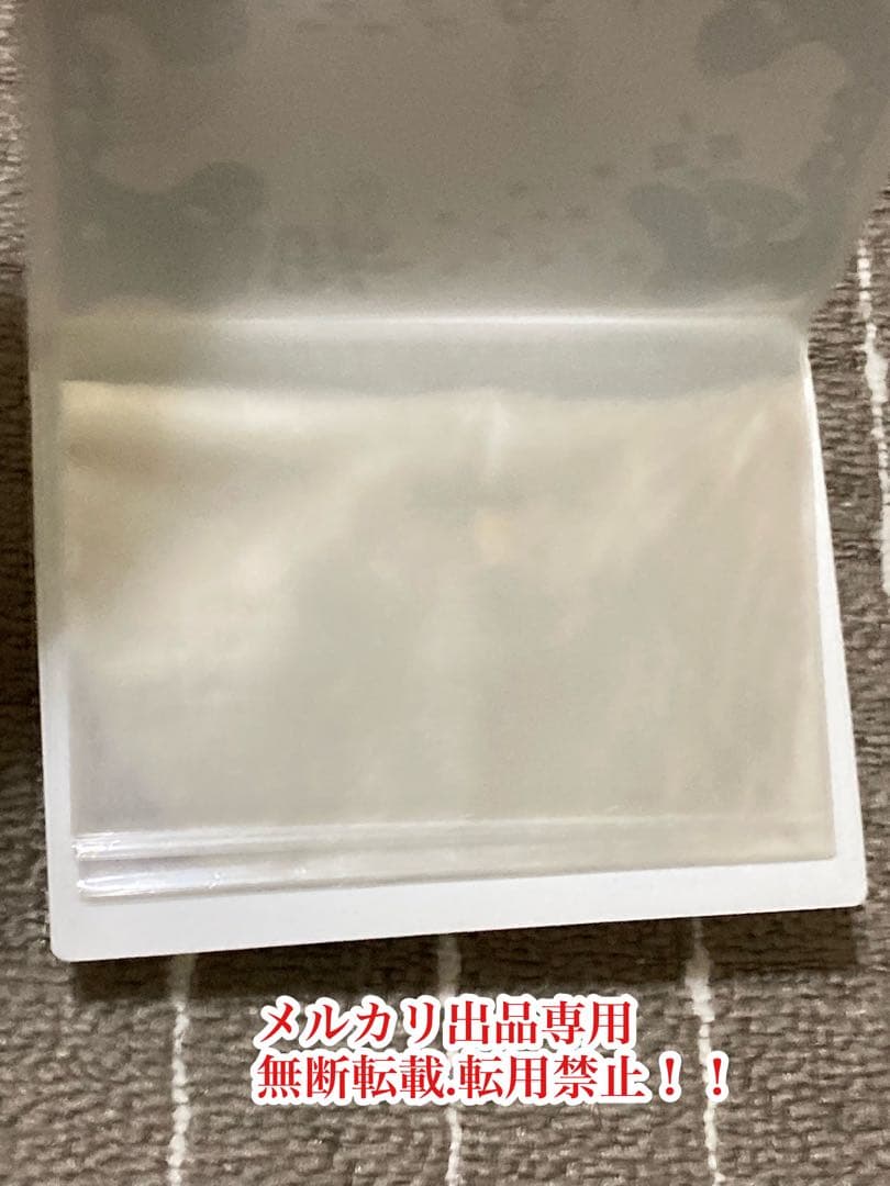 超レア　貴重　安室奈美恵 tourグッズ　 写真入れケース　安室ちゃん