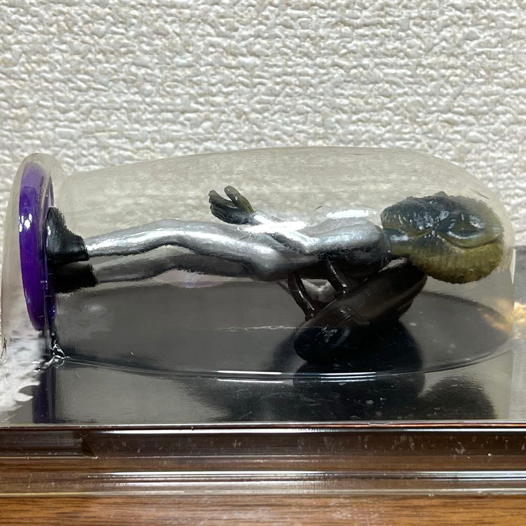 リアルエイリアンコレクション　 NO.10 HOGDORF 新品未使用
