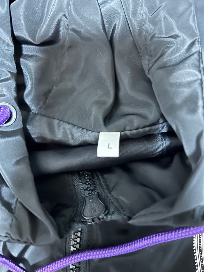 欅坂46 欅共和国2019 ナイロンフーディー L 欅坂46 L