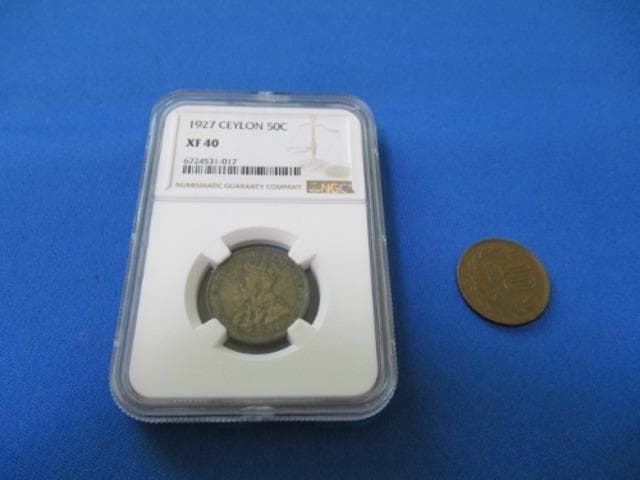 fafi サイン入り carmine volt 原画レプリカ