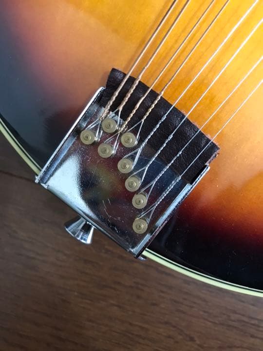 PLAYTECH フラットマンドリン