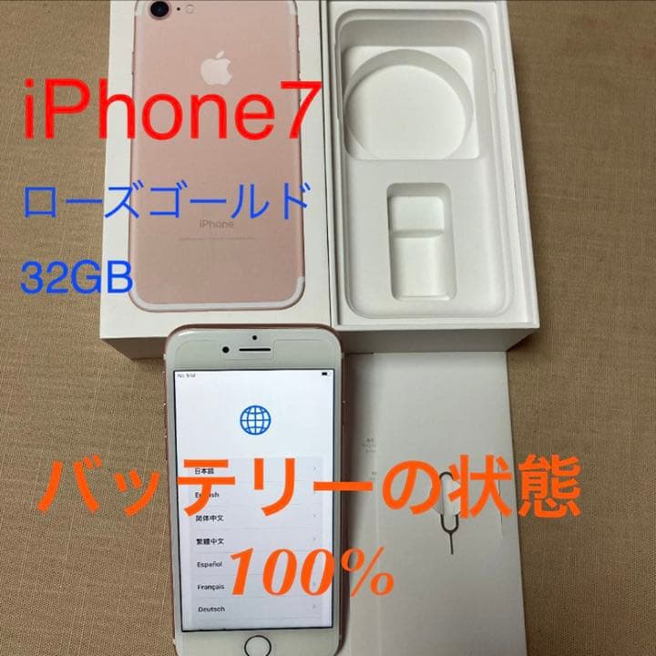 T951 茶碗 『南天の絵』『灰釉 茶碗』『加藤春永 造』 共箱 抹茶碗