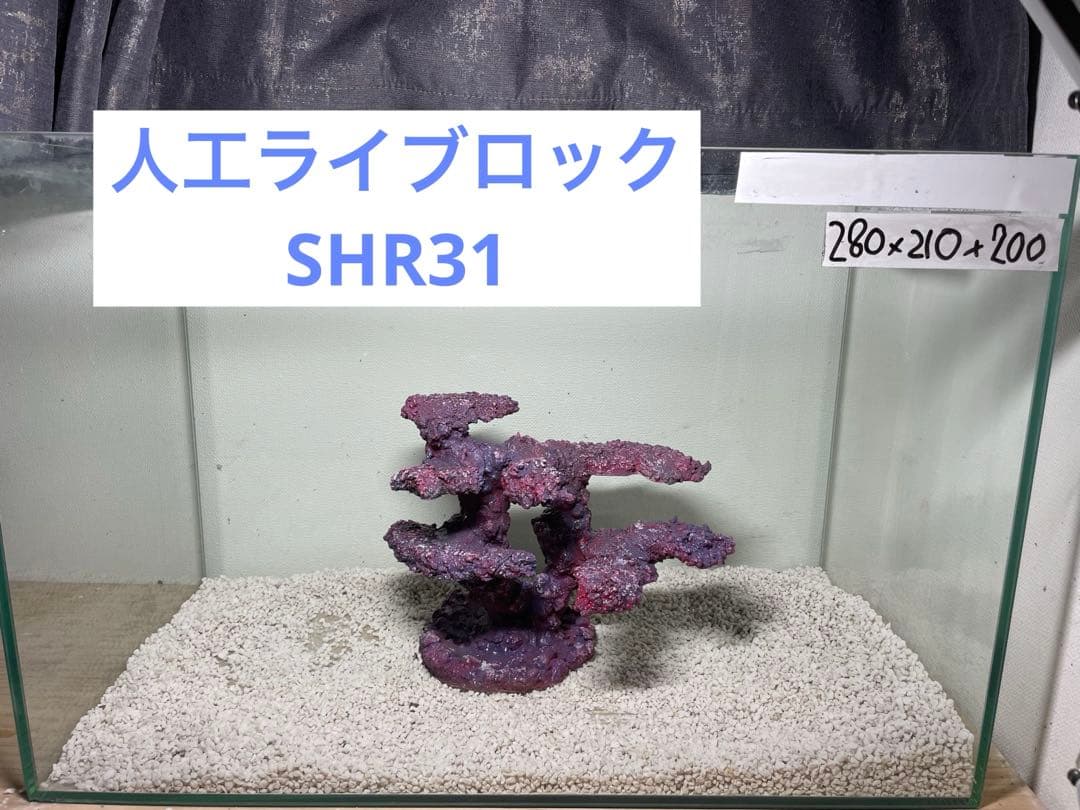 人工ライブロック　SHR31 アク抜き済み安心塗料使用 送料無料】人工ライブロック PHR09／14穴加工 アク抜き済み安心塗料使用