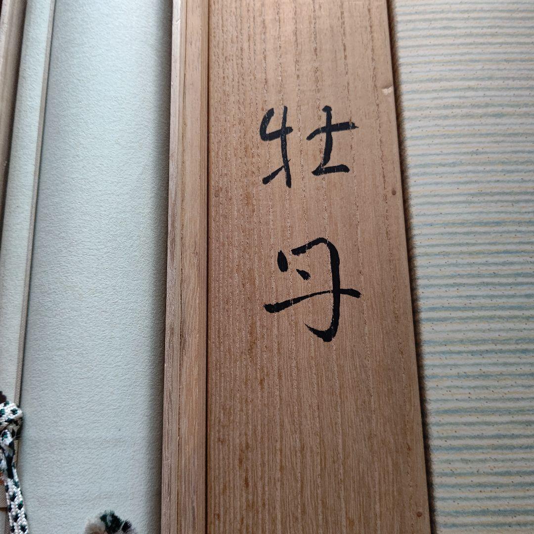 掛軸 『牡丹 』 常岡文亀