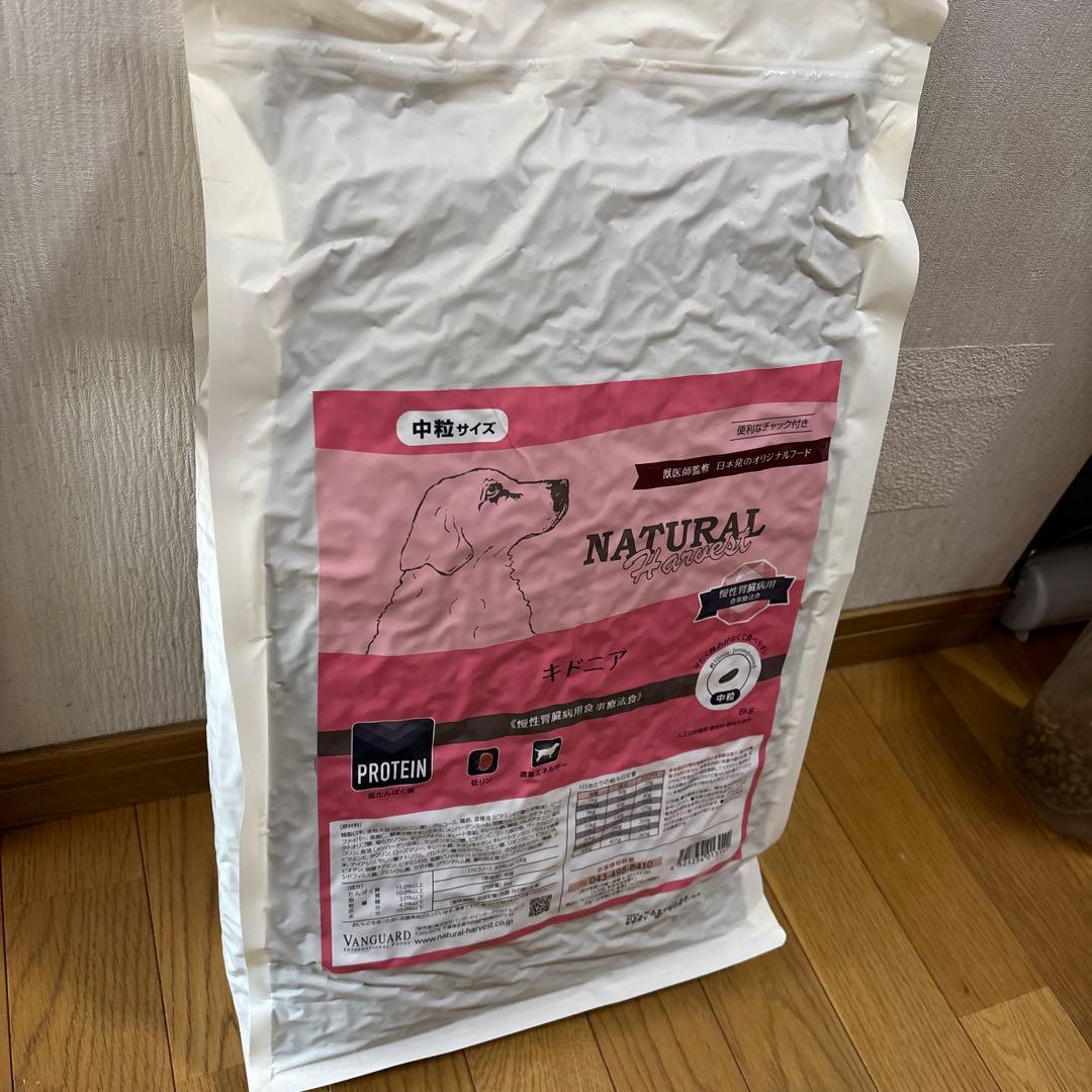 VANGUARD キドニア 6kg キドニア | バンガードインターナショナルフーズ販売店様専用