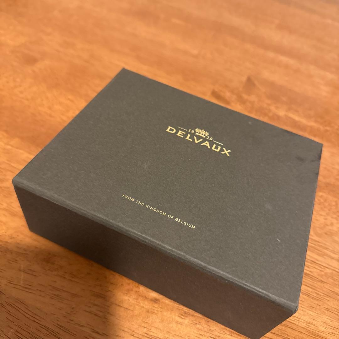 DELVAUX パン D マルチファンクション