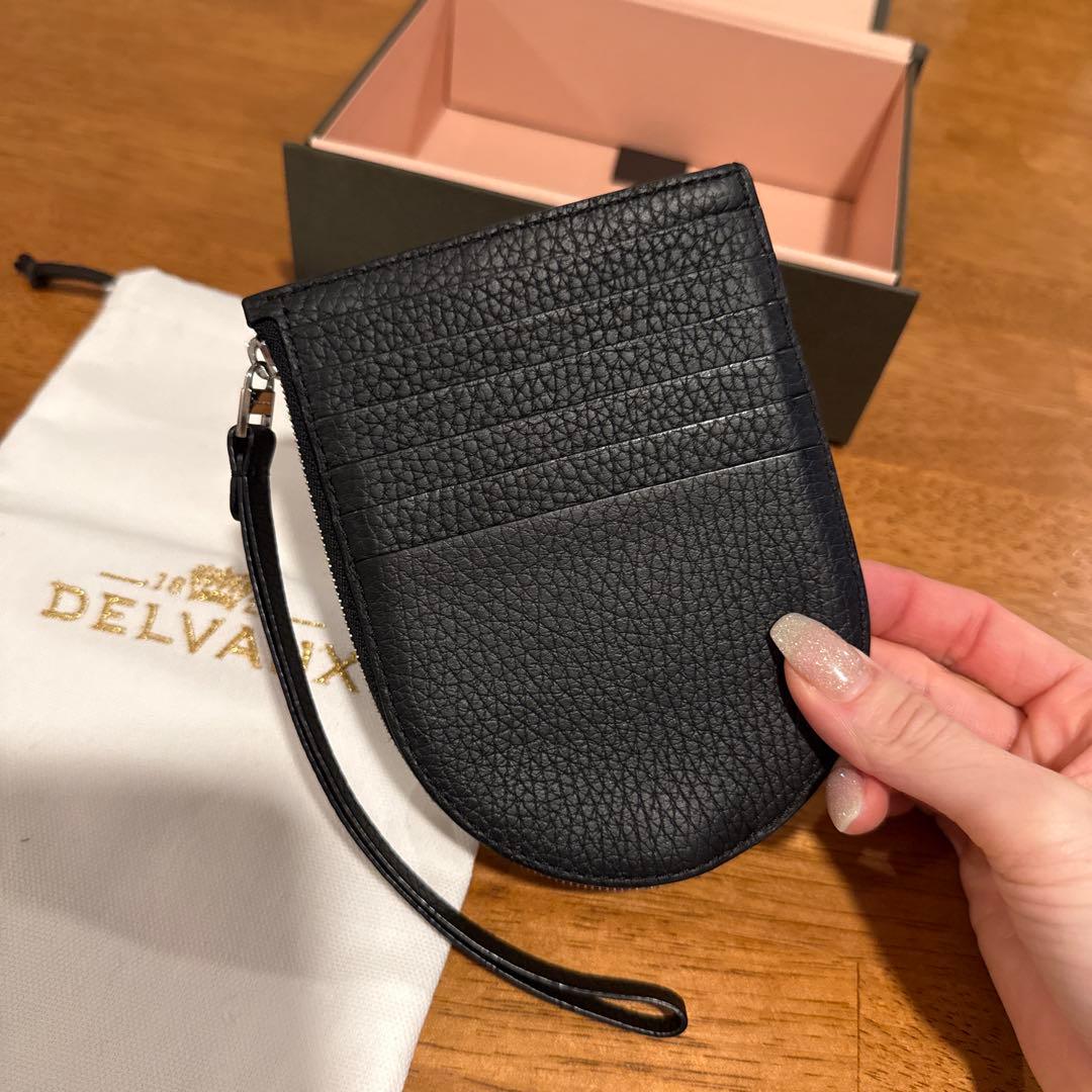 DELVAUX パン D マルチファンクション