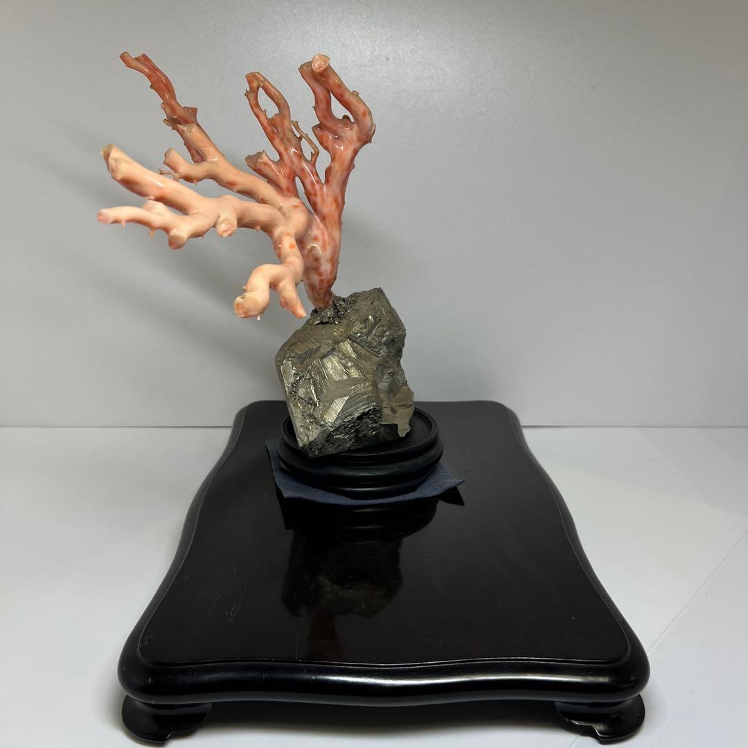 特大 極太桃色珊瑚 台付 3674g 東Y7-1106☆2Fトコオ