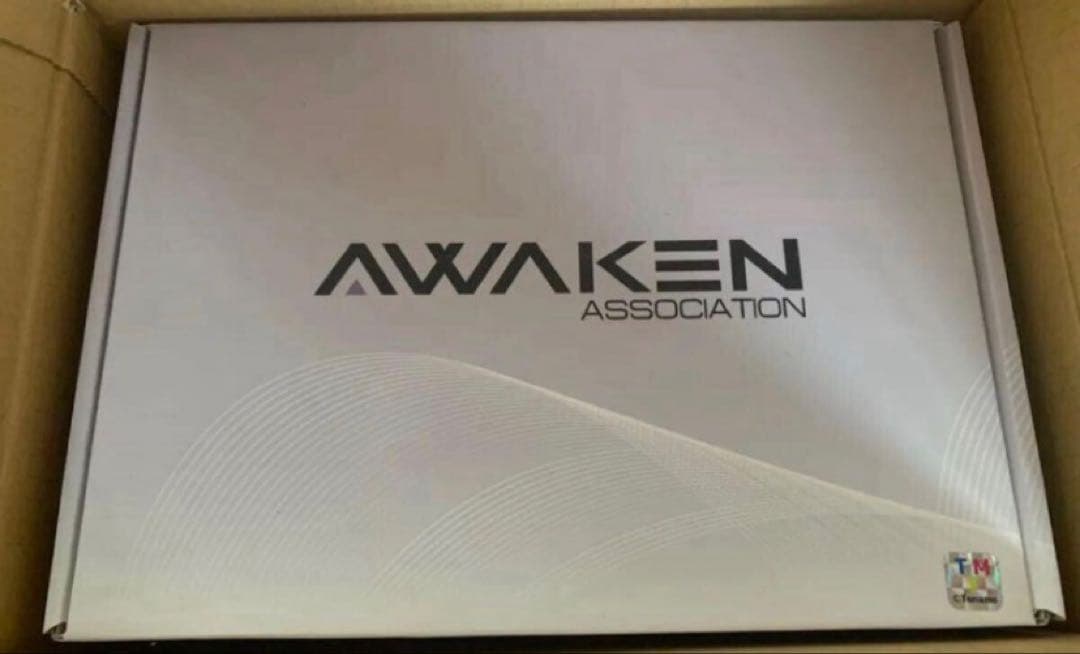 正規品　トナモ　Awaken 崩壊スターレイル ホタル 1/4 胸像　ガレキ