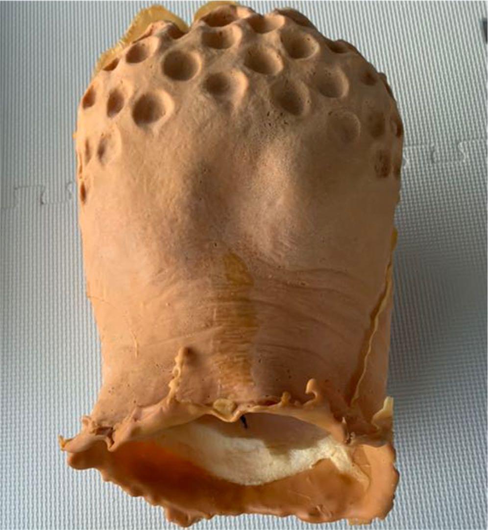 プレデター　1/1ヘッド　プロップレプリカ