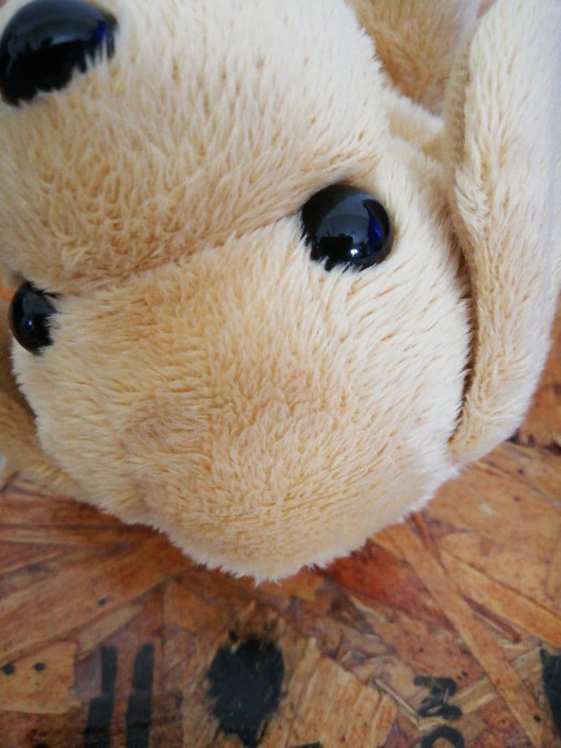 廃盤　こえマネわんちゃん　美品