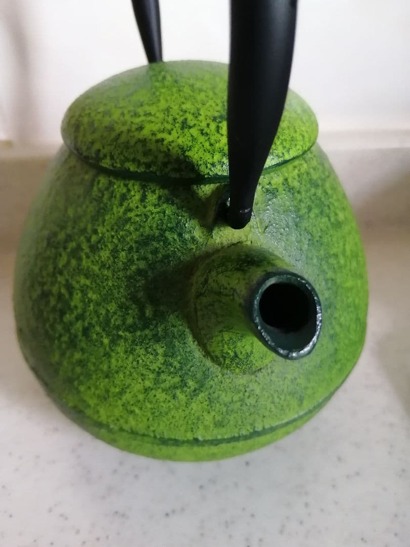 ロジ アソシエイツ ロジ Roji 南部鉄器 急須 たまごのこ グリーン 緑