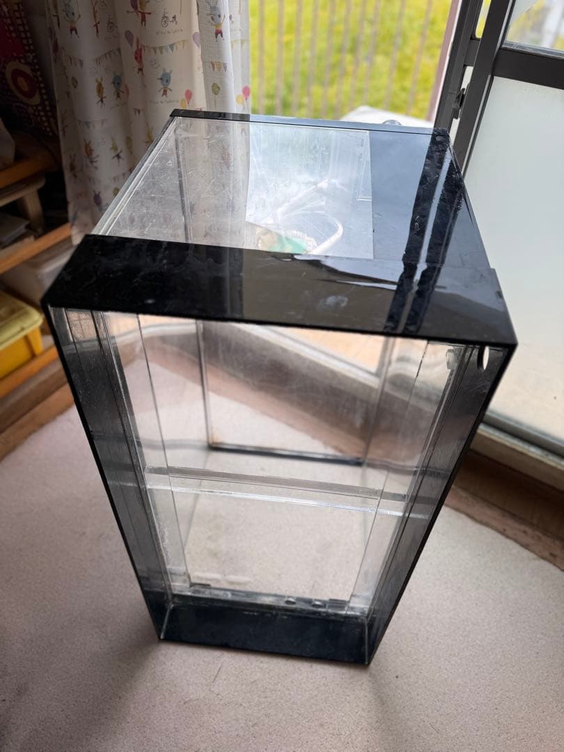 大きめの黒色アクリル水槽 引き取り限定 価格交渉OK