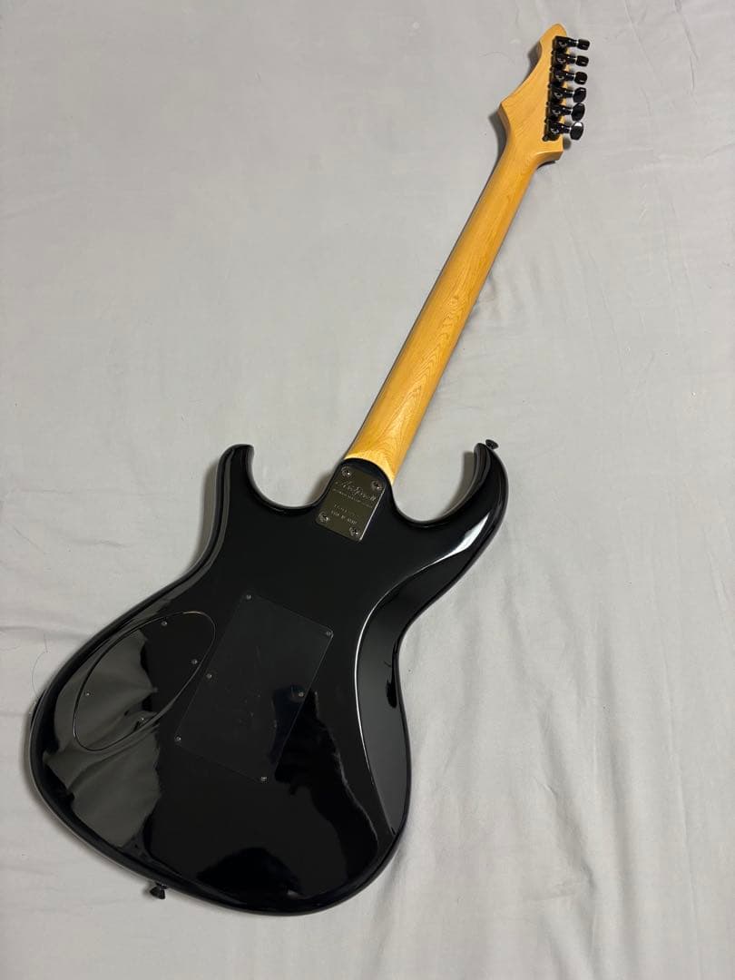 Aria Pro2 RS WILDCAT エレキギター