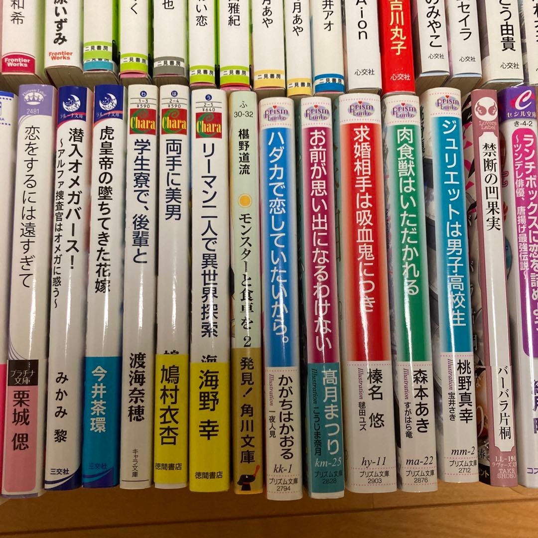 BL小説 全55冊セット まとめ売り - メルカリ