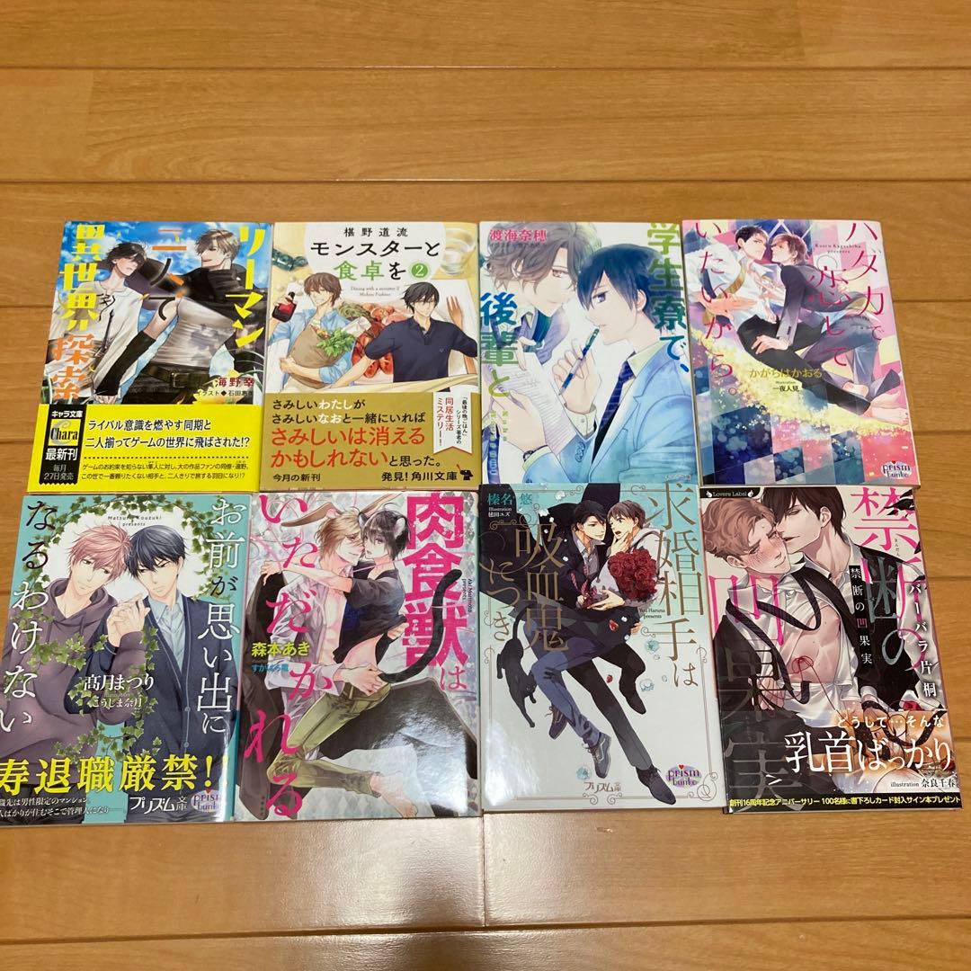 BL小説 全55冊セット まとめ売り - メルカリ