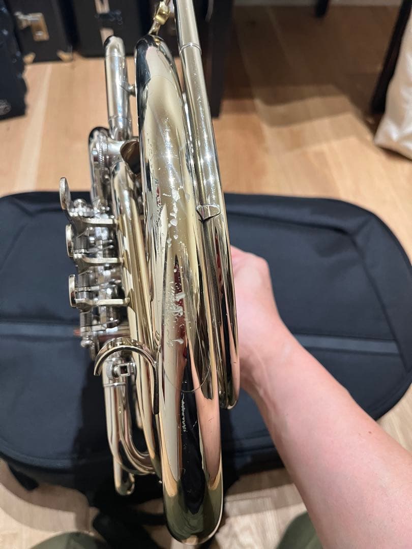 ホルトン フレンチホルン GH479 ケース付き