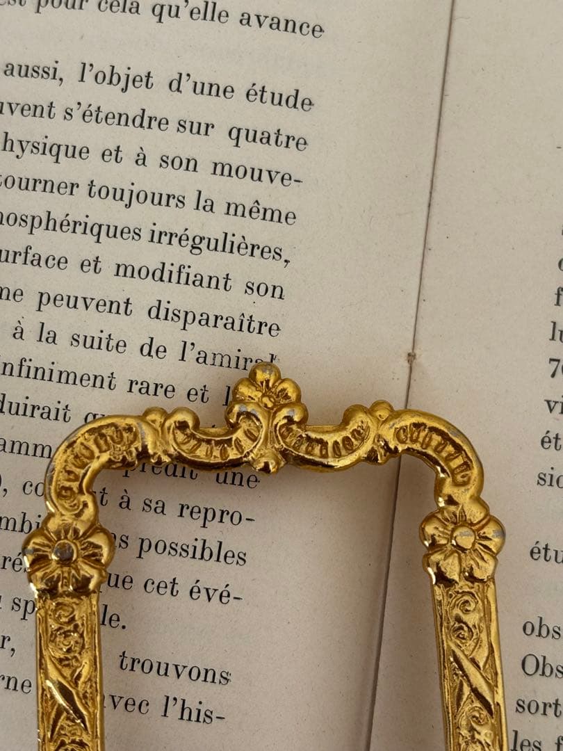 フランス 蚤の市 枠のみ ブロカント - メルカリ