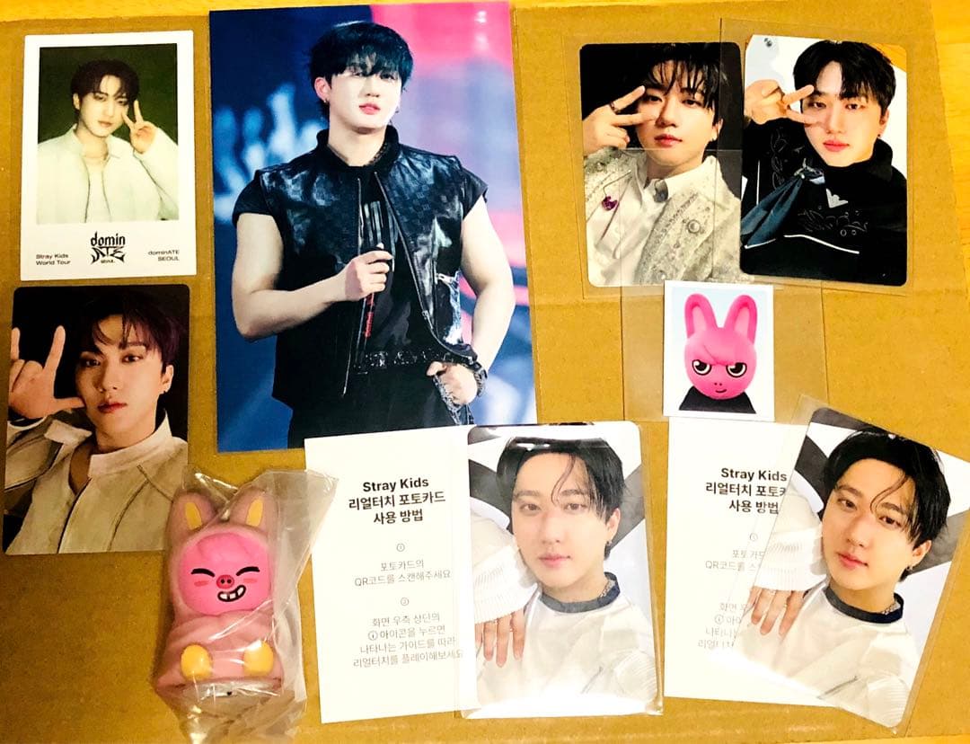 Straykids スキズ チャンビン トゥエッキ まとめ売り - メルカリ