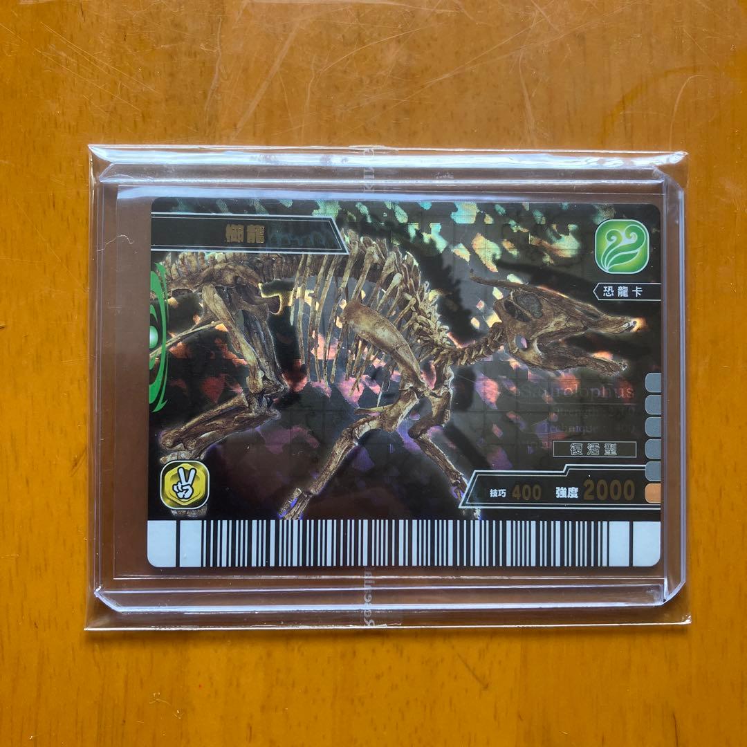 希少 恐竜キング 台湾 金 6枚 英語 銀 6枚 計12枚 N1
