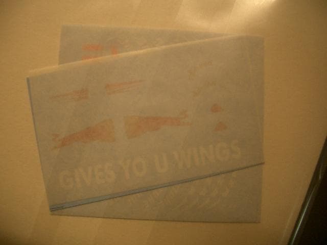 1/20 トロロッソ STR3 (イタリア GP)