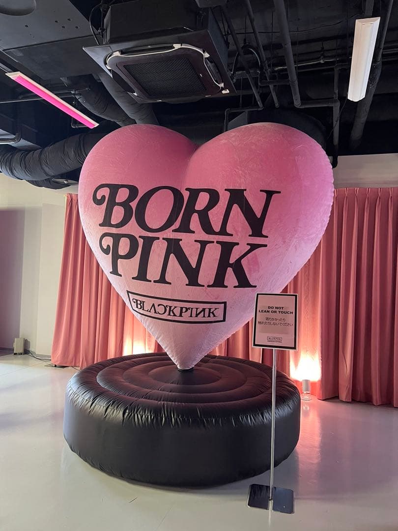 black pink verdy pop up スウェット クルーネック XL