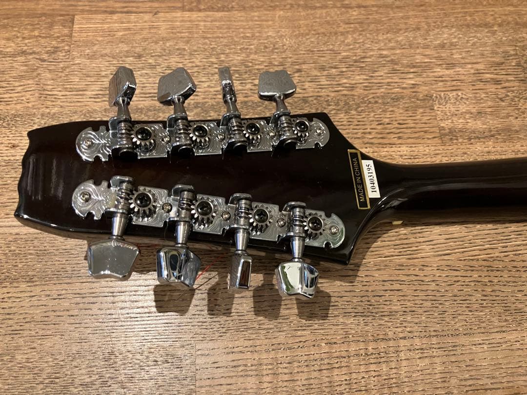 aria エレキマンドリン (Ritter ケース付き)