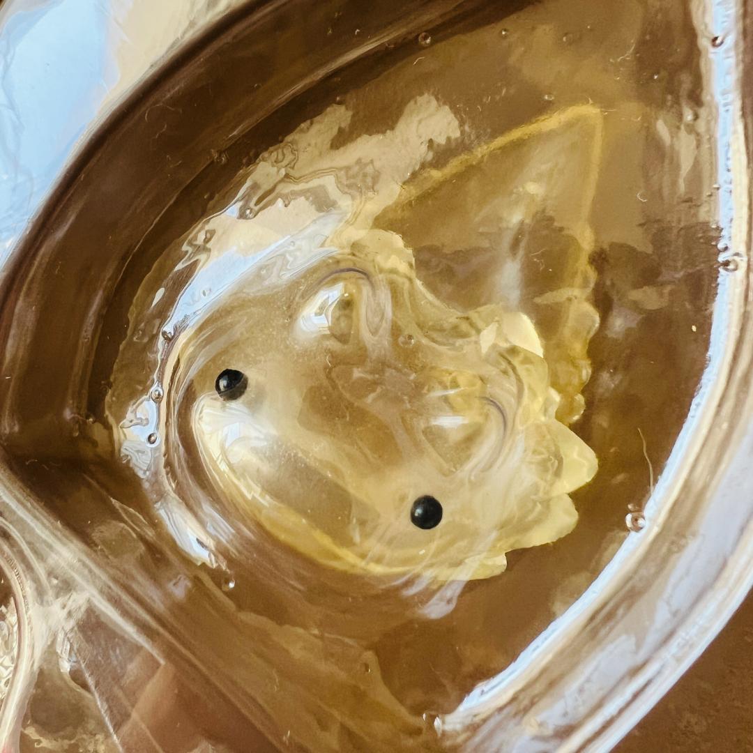 カイジュウハンティング shoko nakazawa デハラユキノリ uamou