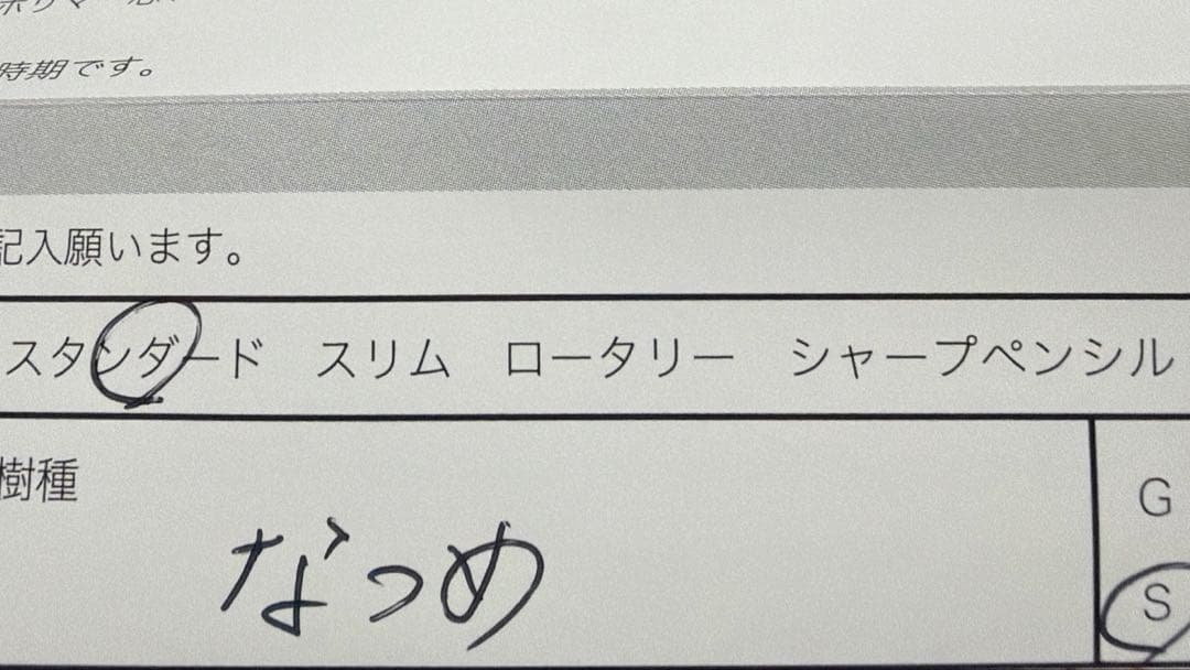 野原工芸 棗 ボールペン スタンダード シルバー SANZOクリップ なつめ