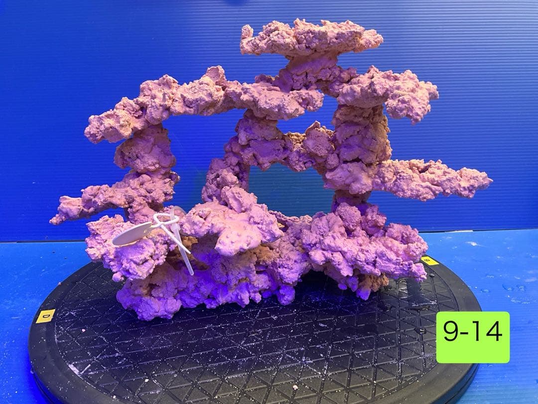 人工ライブロック　No.9-14 9-12 まとめて2個購入