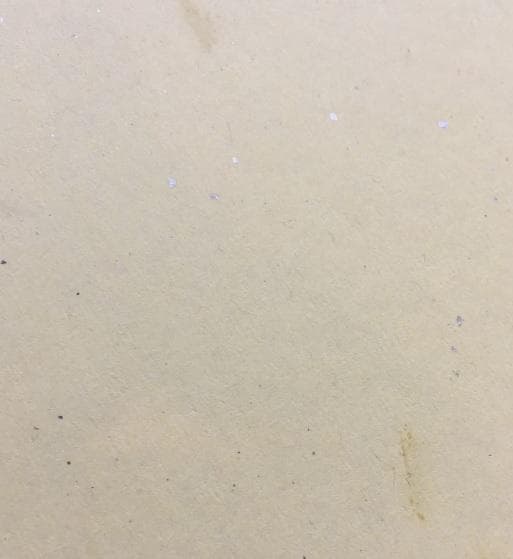 ●希少…リア・ディゾン…Leah Donna Dizon…直筆サイン入り色紙