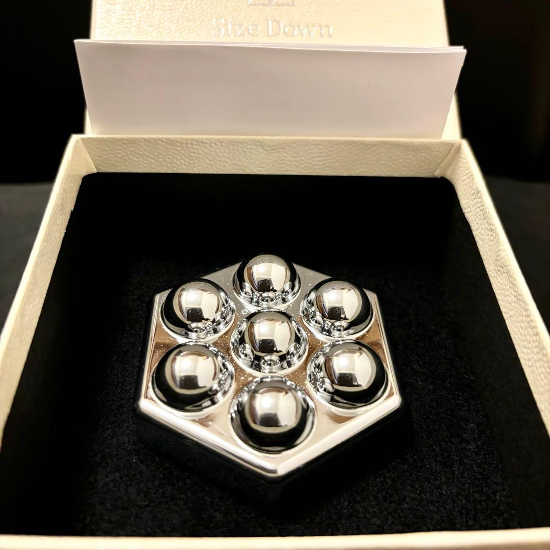 Leo レオサイズダンレボリューション( 充電不要 )