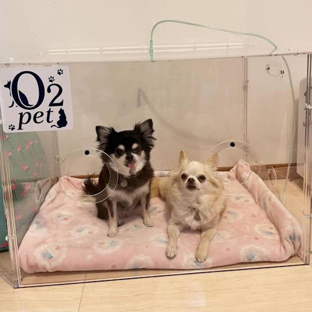 O2チャージ オーツーペット 酸素室 ペット用酸素室O2chargeの紹介と