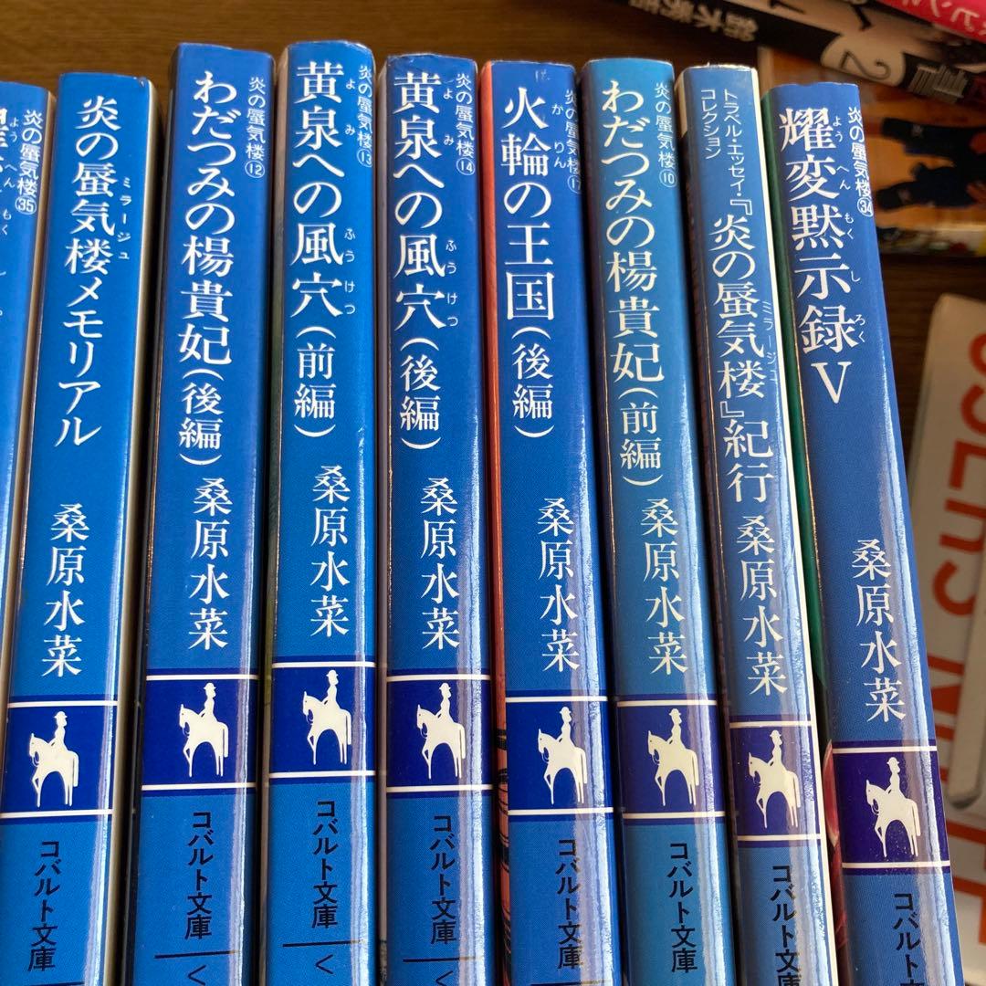 炎の蜃気楼シリーズなど計48冊 桑原水菜 値引き交渉大歓迎 U117800713