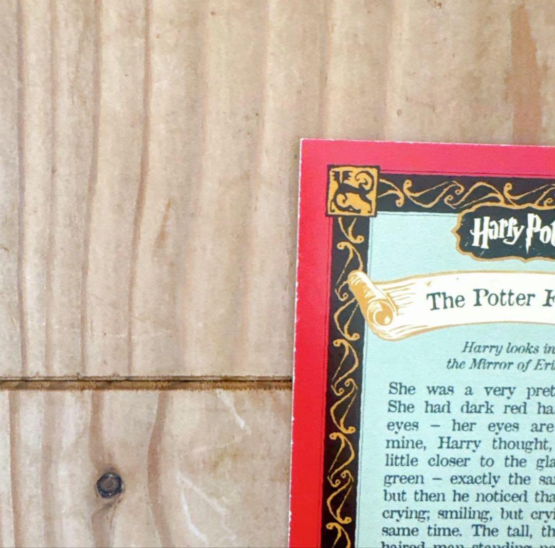 ハリーポッター　カエルチョコ　3DカードThe Potter Family