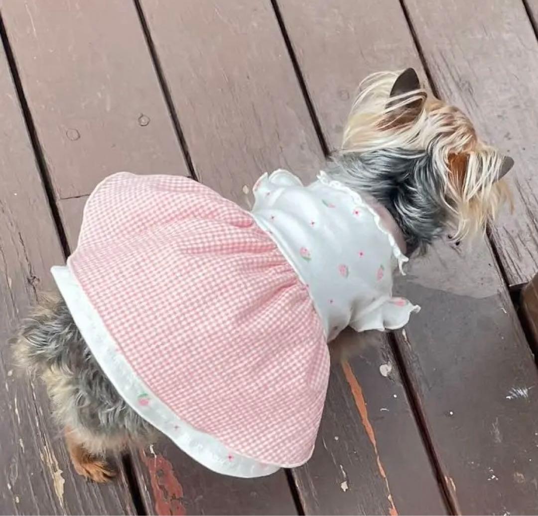 ハンドメイド犬服 お袖フリルのエプロンドレス ピンク苺ちゃん☆お袖変更