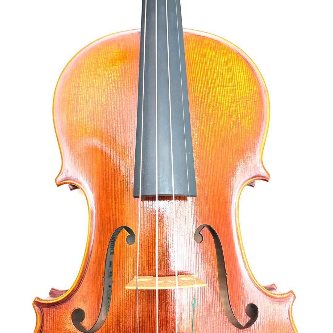 マンモス Pygmalius Derius Giappones 4/4