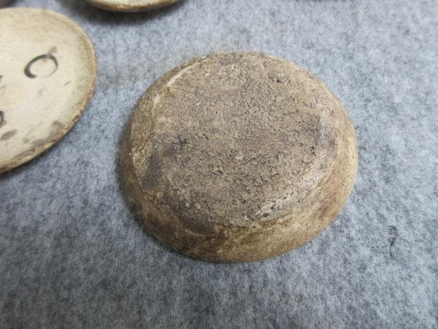 絵瀬戸鉄絵月にうさぎ図豆皿10枚 [B28016]