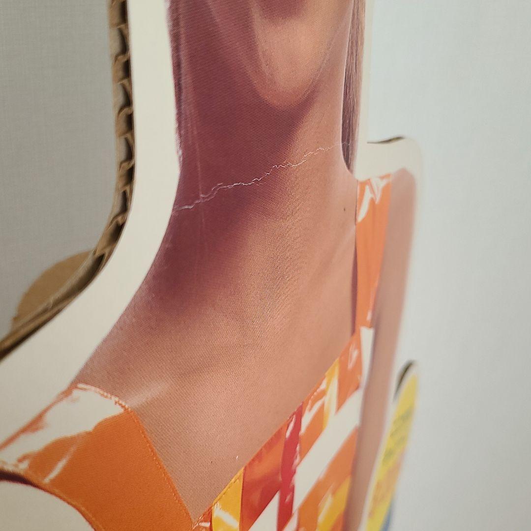 安室奈美恵 パネル